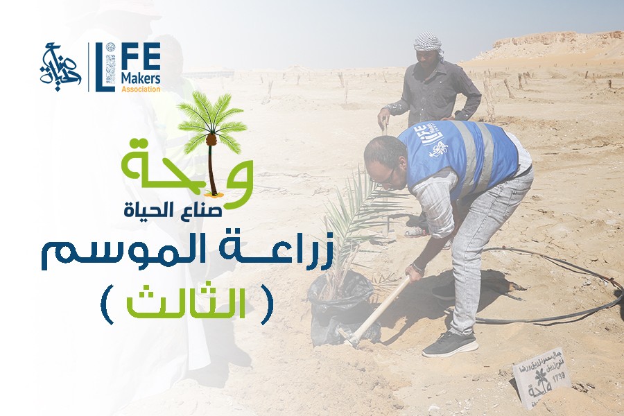 زراعة الموسم الثالث في واحة جمعية صناع الحياة الجيزة